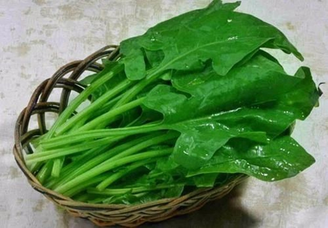 【注意】感冒药不能和蜂蜜 一起吃！(图7)