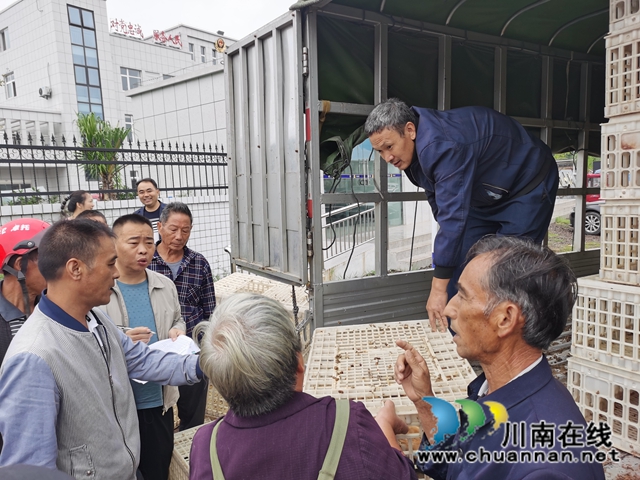 泸县残联到立石镇开展2020年度扶持农村贫困残疾人发展生产（养鸡技术）培训