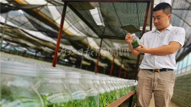 厉害！这项技术，内江做到了全国领先(图9)