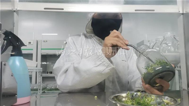 厉害！这项技术，内江做到了全国领先