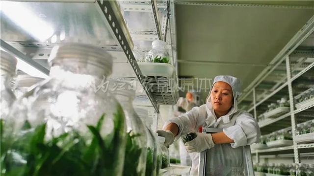 厉害！这项技术，内江做到了全国领先(图4)