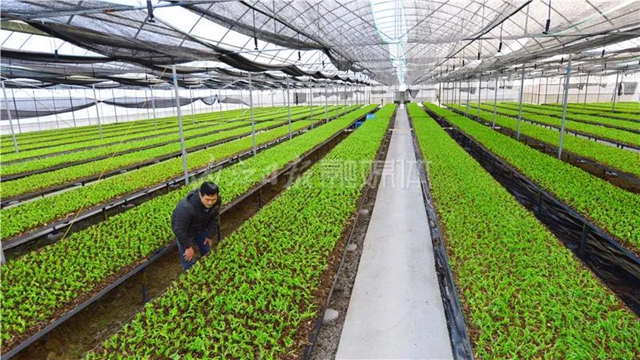 厉害！这项技术，内江做到了全国领先(图6)