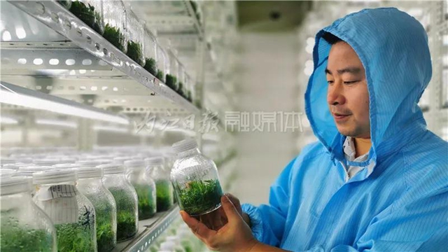 厉害！这项技术，内江做到了全国领先(图11)