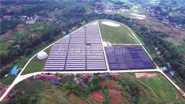 厉害！这项技术，内江做到了全国领先(图12)