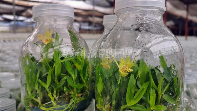 厉害！这项技术，内江做到了全国领先(图14)