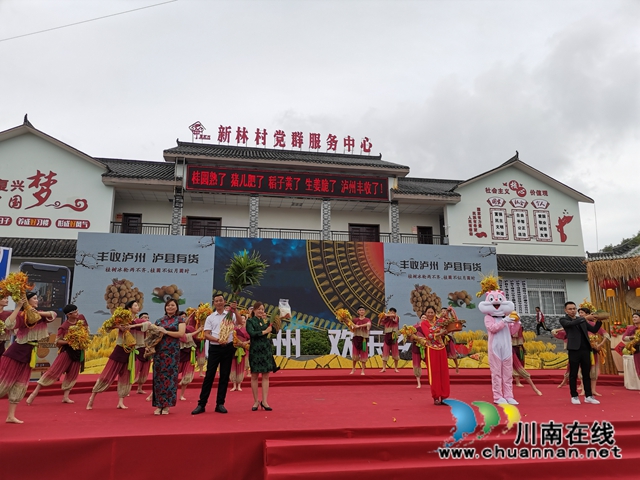 泸州通过世界晚熟龙眼优势区域中心认证(图4)