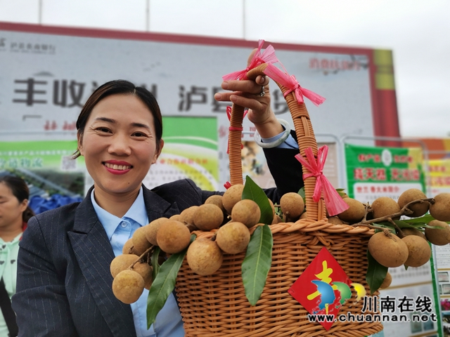 泸州通过世界晚熟龙眼优势区域中心认证(图5)