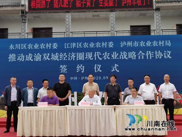 泸州通过世界晚熟龙眼优势区域中心认证(图2)