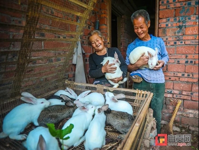 丰收啦!被这组盐都农民的笑脸暖化(图1) 丰收啦!被这组盐都农民的笑脸暖化(图1)
