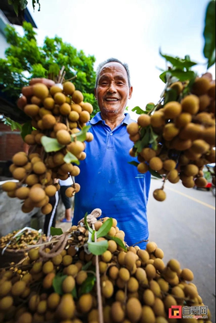 丰收啦!被这组盐都农民的笑脸暖化(图4) 丰收啦!被这组盐都农民的笑脸暖化(图4)