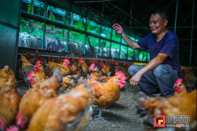 丰收啦!被这组盐都农民的笑脸暖化(图5) 丰收啦!被这组盐都农民的笑脸暖化(图5)