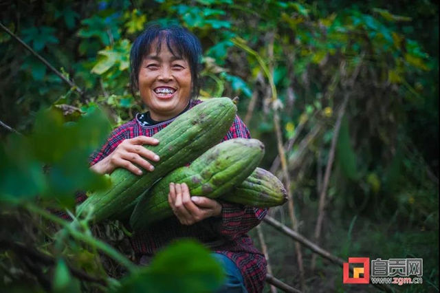 丰收啦!被这组盐都农民的笑脸暖化(图6) 丰收啦!被这组盐都农民的笑脸暖化(图6)