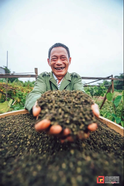 丰收啦!被这组盐都农民的笑脸暖化(图8) 丰收啦!被这组盐都农民的笑脸暖化(图8)