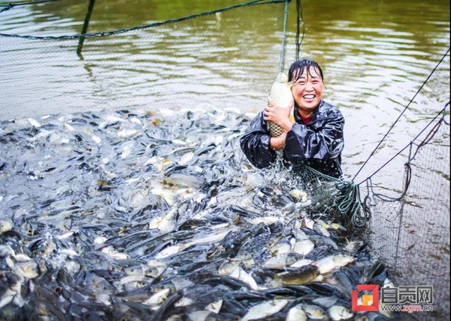 丰收啦!被这组盐都农民的笑脸暖化(图9) 丰收啦!被这组盐都农民的笑脸暖化(图9)