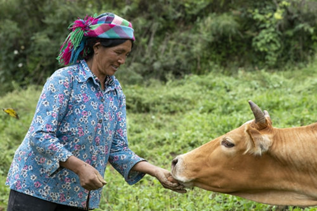 最后的收割(图4)