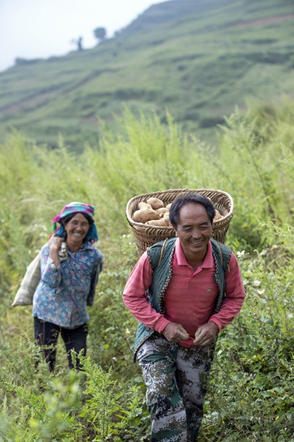 最后的收割(图7)