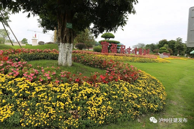 “仪式感”爆棚 | 85万盆鲜花扮靓酒城(图3)