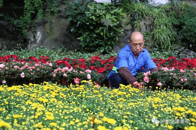 “仪式感”爆棚 | 85万盆鲜花扮靓酒城(图4)