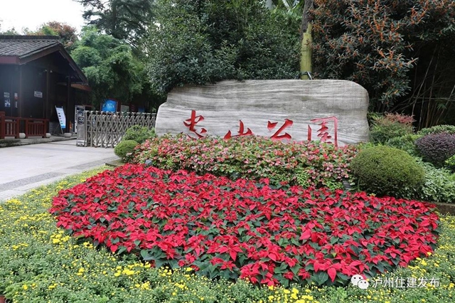 “仪式感”爆棚 | 85万盆鲜花扮靓酒城(图7)