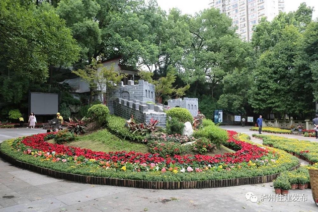 “仪式感”爆棚 | 85万盆鲜花扮靓酒城(图6)