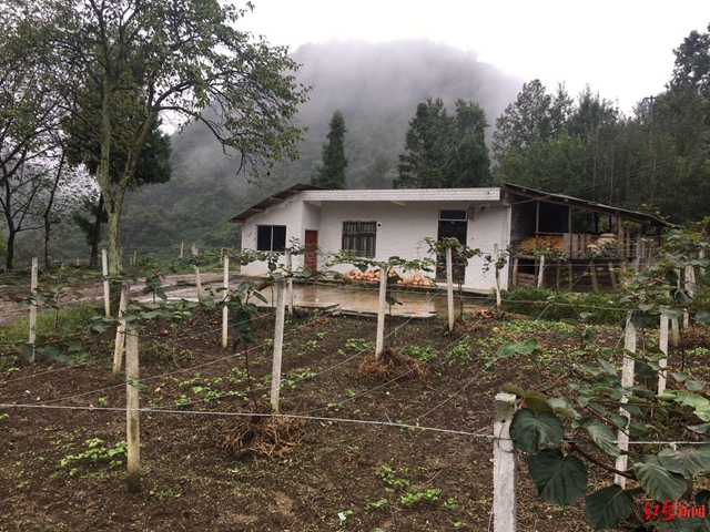 古蔺山村命案调查：58岁大妈及儿媳、两孙儿遇害 案发前与小16岁嫌疑人分手(图6)