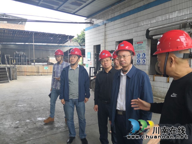 肖春到泸县百和镇督导安全生产工作(图2)