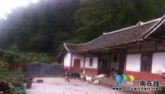 陈大刚：乡下的中秋(图10)