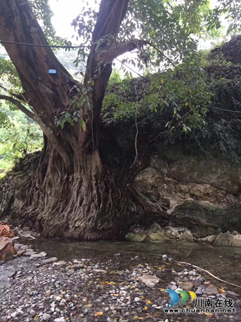 陈大刚：乡下的中秋(图11)