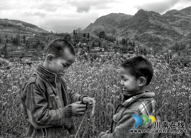 陈大刚：乡下的中秋(图13)