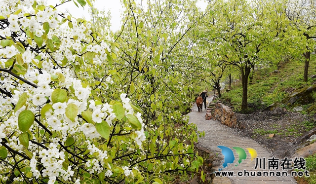 陈大刚：乡下的中秋(图20)