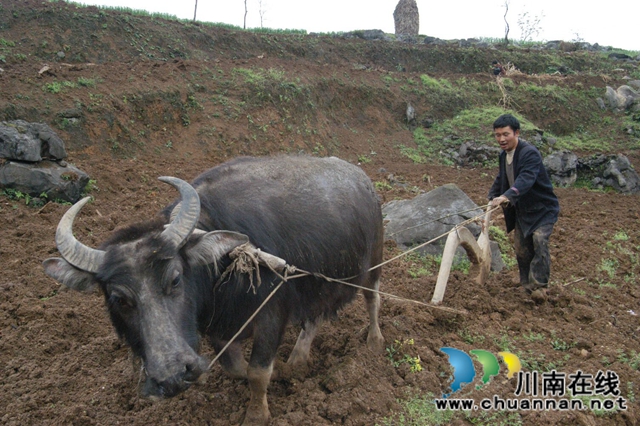 陈大刚：乡下的中秋(图21)