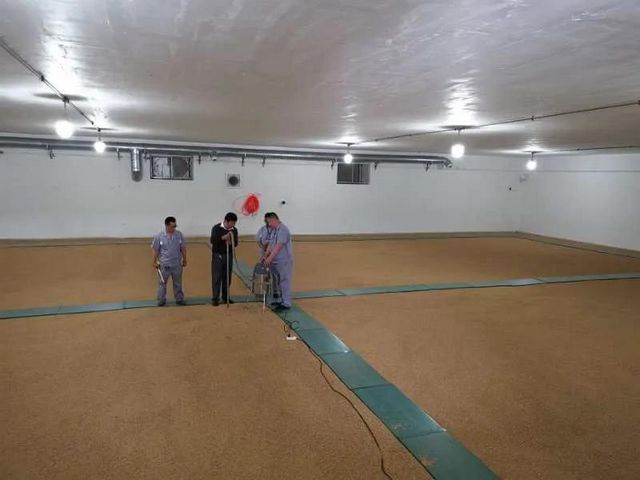 捂粮囤粮完全没必要 泸州粮食安全有“底气”