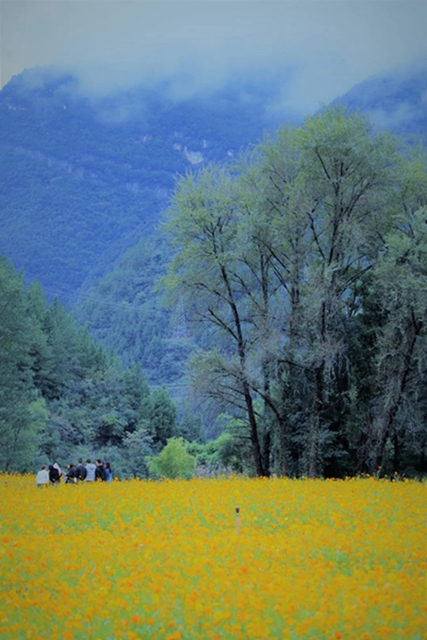 市州"吸金"哪家强？四川黄金周旅游数据来了！(图8)