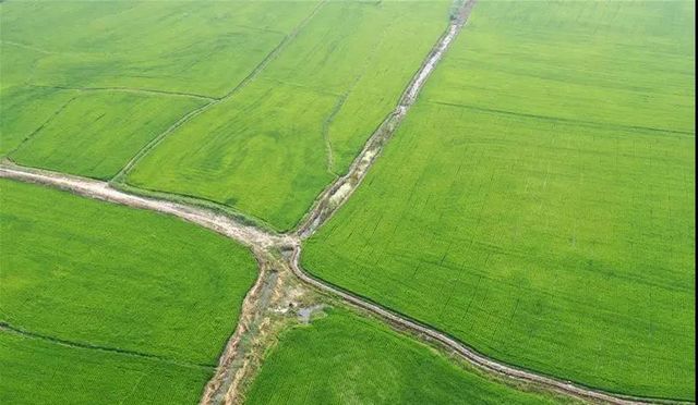 为何农村实行“一户一宅”，城市可以“一户多宅”？(图2)