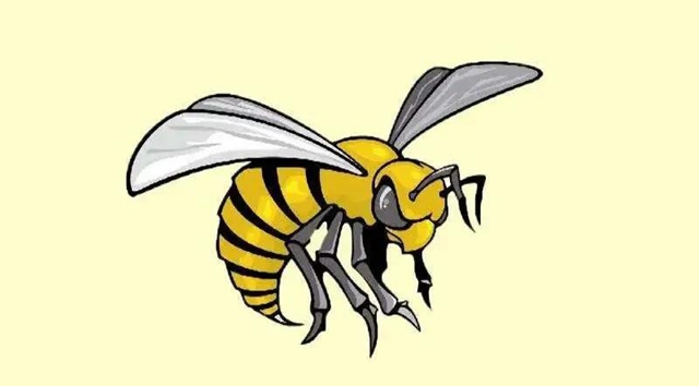 【蜂出没】最小9岁！多人被马蜂蜇伤换血？