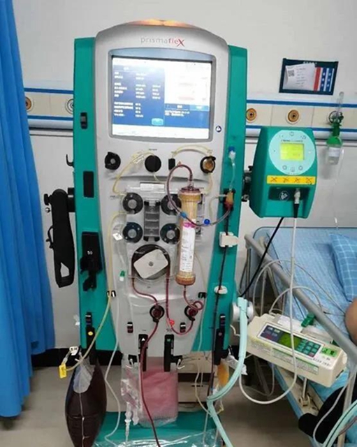 【蜂出没】最小9岁！多人被马蜂蜇伤换血？(图3)