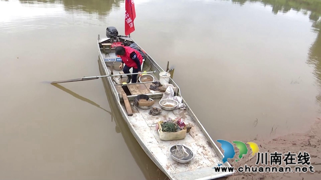 惊喜！合江县赤水河流域发现40多条长江鲟！(图2)