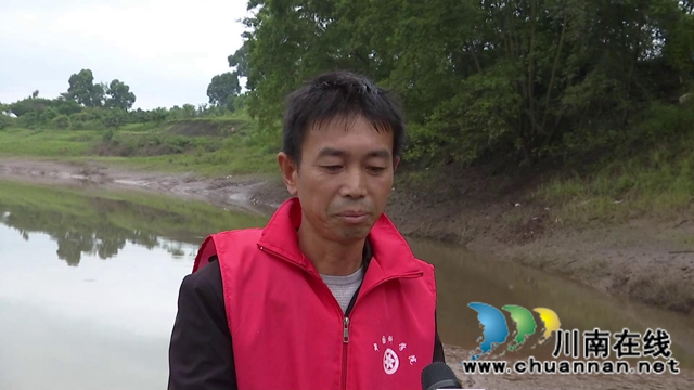 惊喜！合江县赤水河流域发现40多条长江鲟！(图6)