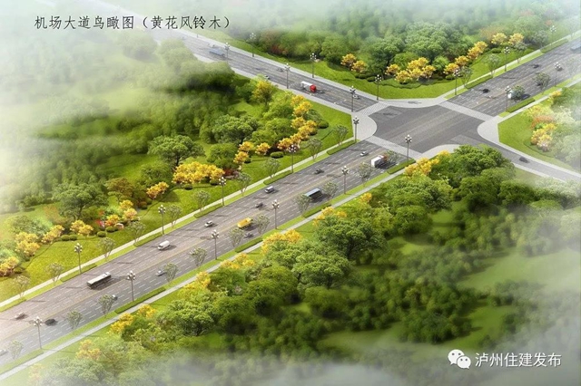 配上樱花、紫薇、紫荆化……泸州这四条景观大道下月动工打造超美打卡地！(图5)