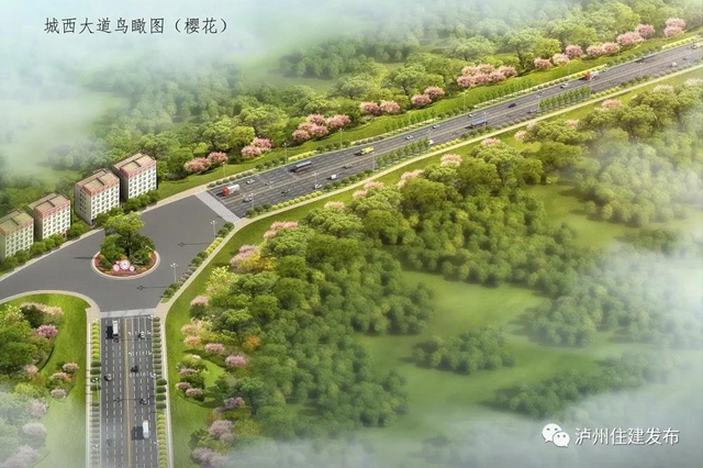 配上樱花、紫薇、紫荆化……泸州这四条景观大道下月动工打造超美打卡地！(图4)