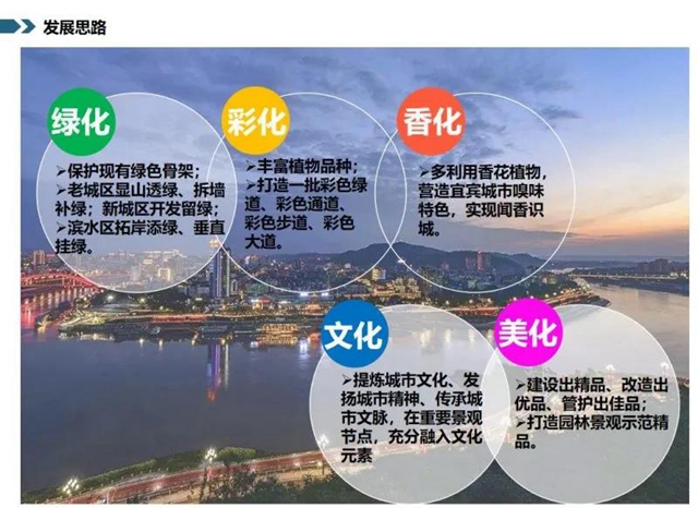 128个项目大手笔！宜宾未来美景可期(图1)
