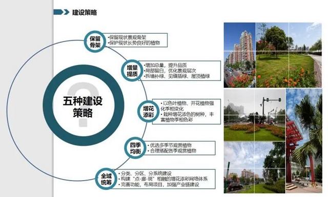 128个项目大手笔！宜宾未来美景可期(图7)
