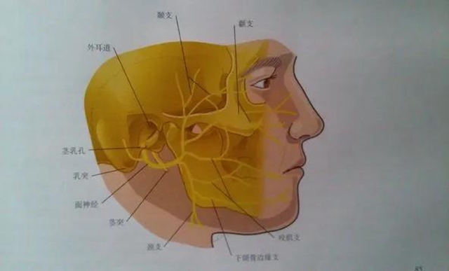 【太惨】一跤摔下去，男子下巴歪了、耳朵掉了？(图2)