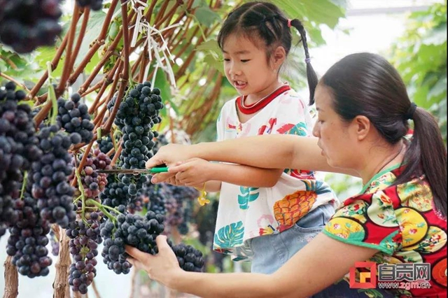 等你来打卡！10月22日-31日，自贡奉上“秋约盐都”文旅盛宴(图2)