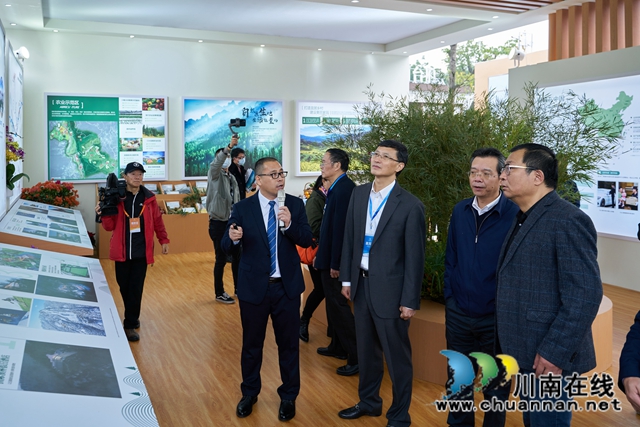 重磅合作！川渝两地房地产展示平台在泸州正式上线(图10)