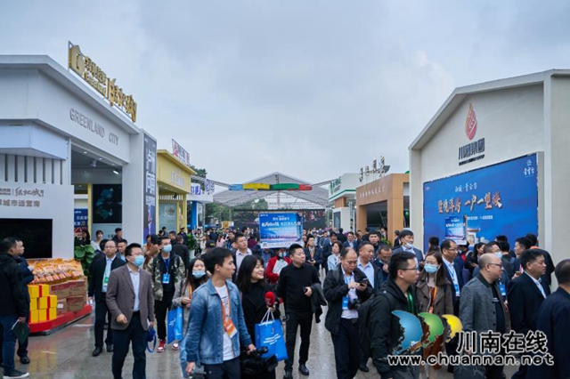 重磅合作！川渝两地房地产展示平台在泸州正式上线(图13)