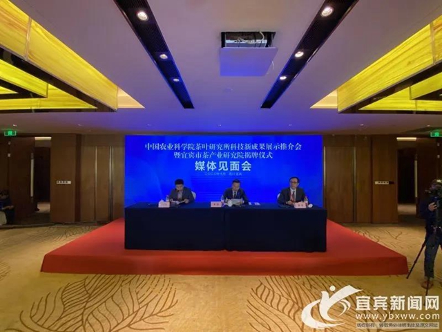 2.68万元/公斤！宜宾这款茶拍出高价(图6)