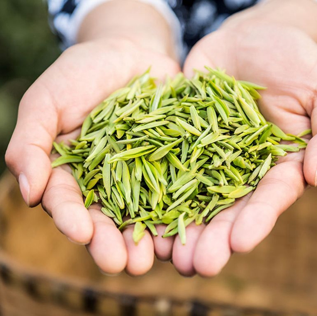 2.68万元/公斤！宜宾这款茶拍出高价(图10)