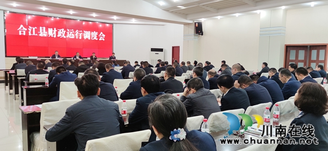 合江县召开财政运行调度会(图2)