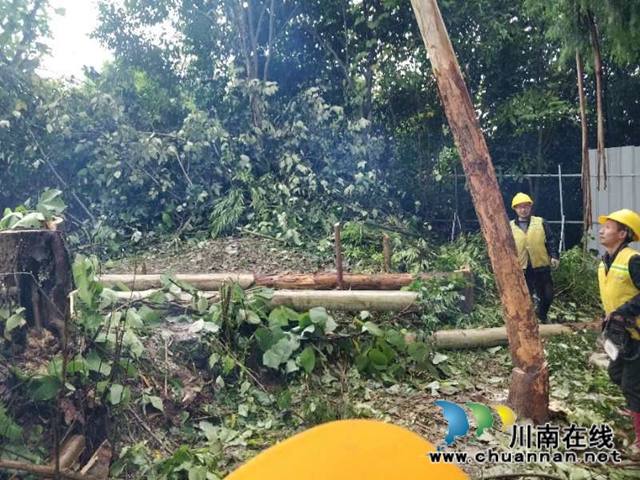 内江经开区靖民镇寿溪桥社区：铁路沿线隐患排除 保障铁路运输安全